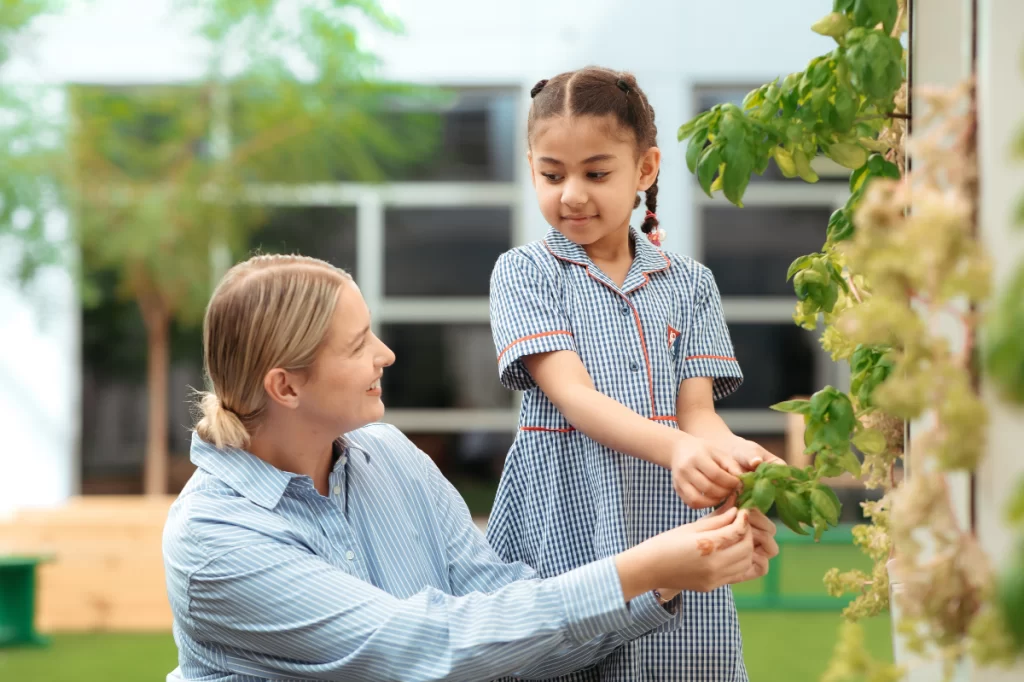The Evolution of Education Standards in Dubai