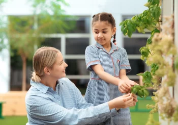 The Evolution of Education Standards in Dubai
