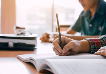 essay writing service