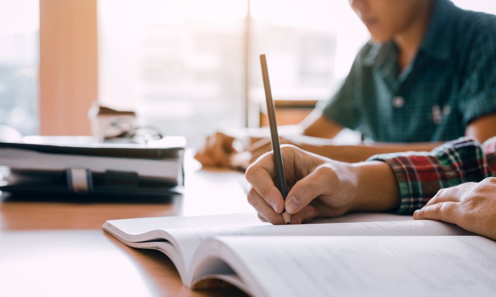 essay writing service